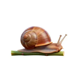 Snail on a wet stem