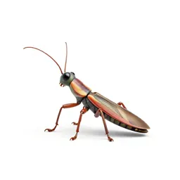Stick insect