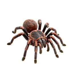 Tarantula