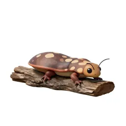 Weta on bark