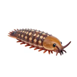 Woodlouse
