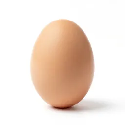 Egg timer