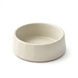 Ceramic dog bowl