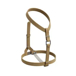 Harness with a handle