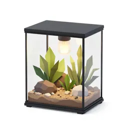 Terrarium with a heat lamp