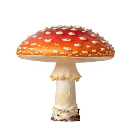 Fly agaric mushroom