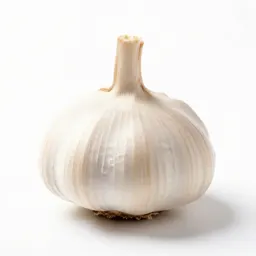 Bulb of garlic
