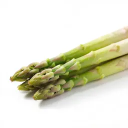 Bunch of asparagus