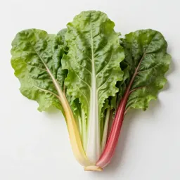 Bunch of rainbow chard