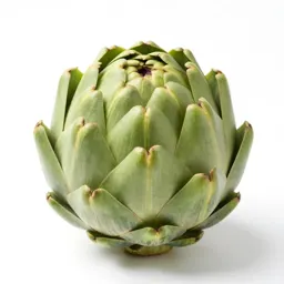 Globe artichoke