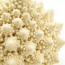 Head of romanesco