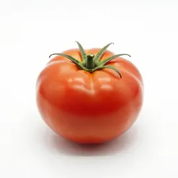 Heirloom tomato on the vine