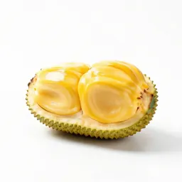 Jackfruit segment