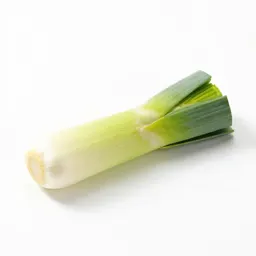 Leek