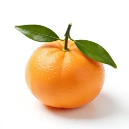 Mandarin with leaves