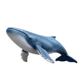 Blue whale