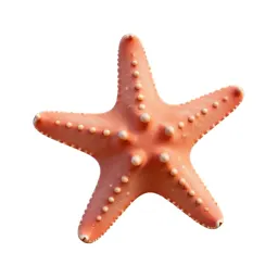Brittle star