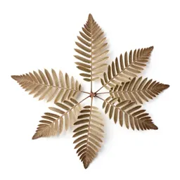 Silver beech