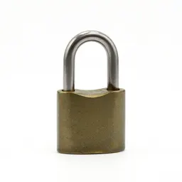 Shackle