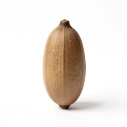 Silique