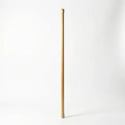Singlestick