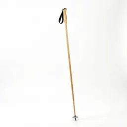 Ski pole
