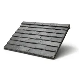 Slate roof