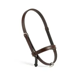 Snaffle