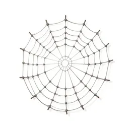 Spider web