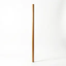 Staff