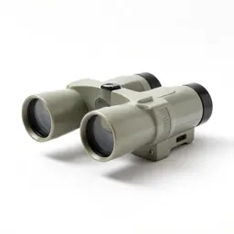 Stereoscope