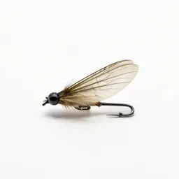 Streamer fly