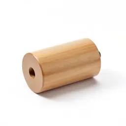 Suppressor
