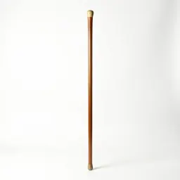 Swagger stick