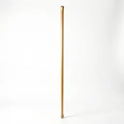 Sword cane