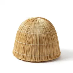 Thatch