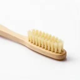 Toothbrush