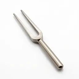 Tuning fork