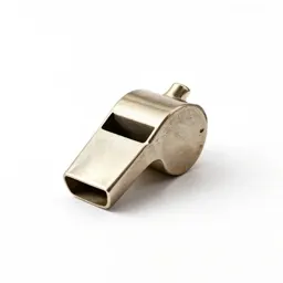 Whistle