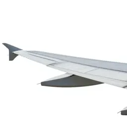 Wing