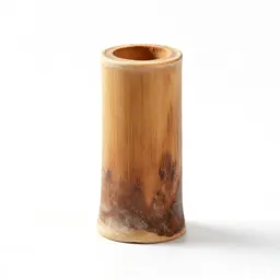 Angostura bark