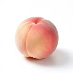 Epicarp