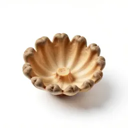 Involucre
