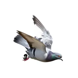 Roller