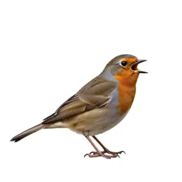 Songbird
