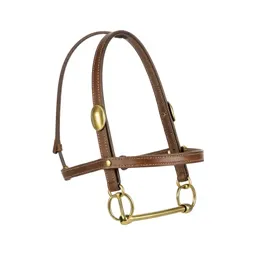 Bridle with brass fittings