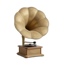 Phonograph with a horn
