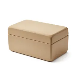 Travelling writing box