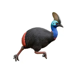 Pukeko mid-stride