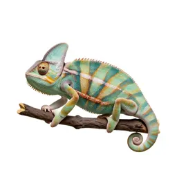 Chameleon on a branch